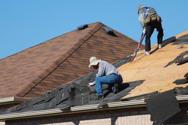Best Metal Roofing Installation  in Passapatanzy, VA