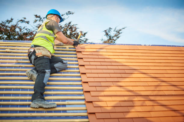 Best Skylight Installation and Repair  in Passapatanzy, VA